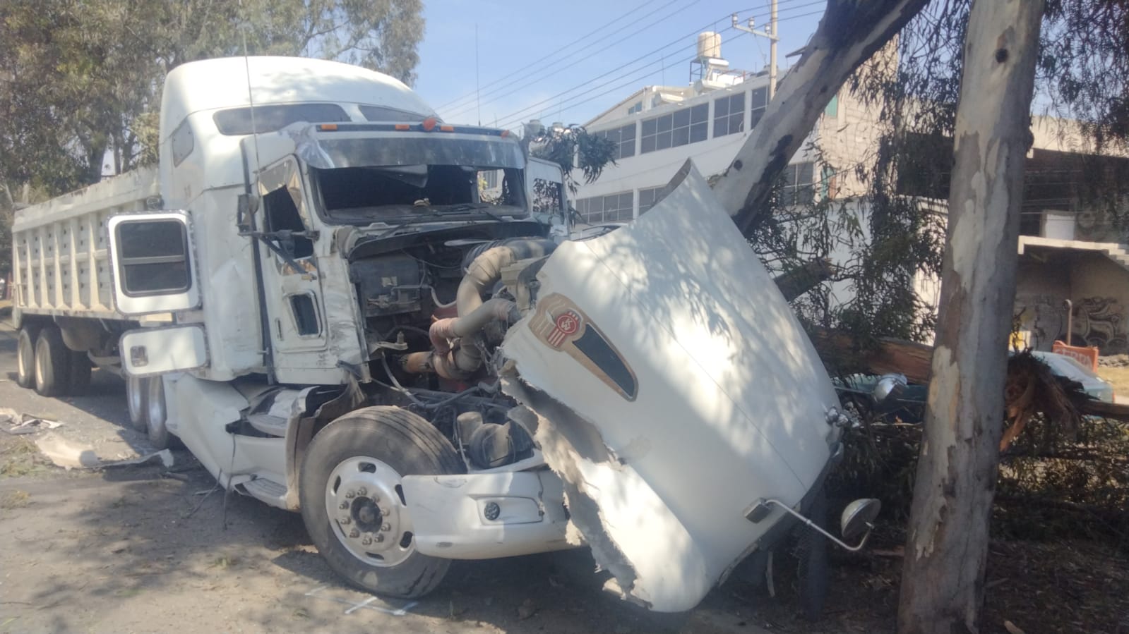 TRAILERO PIERDE EL CONTROL Y CHOCA CONTRA ÁRBOLES EN LA TEXCOCO ...